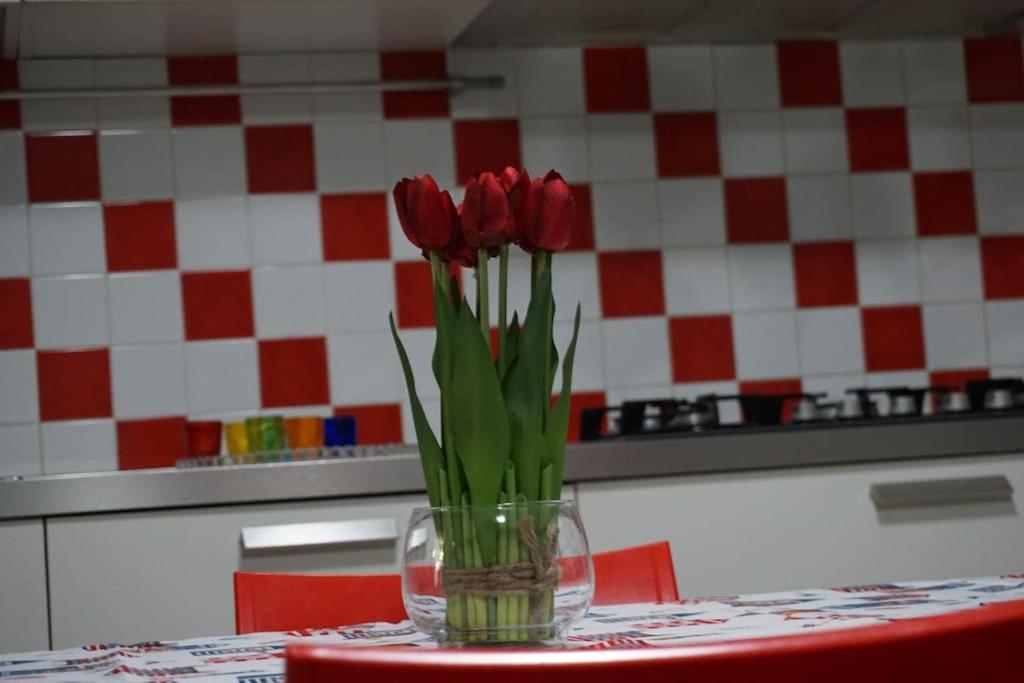 Casa Stella Marina Poetto Holiday home Quartu Sant'Elena
